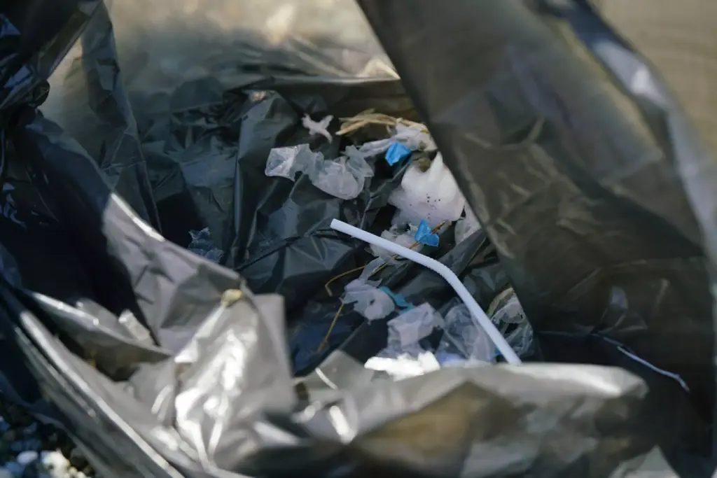 Black Bag Rubbish Removal