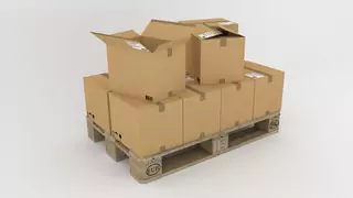 Cardboard Collection